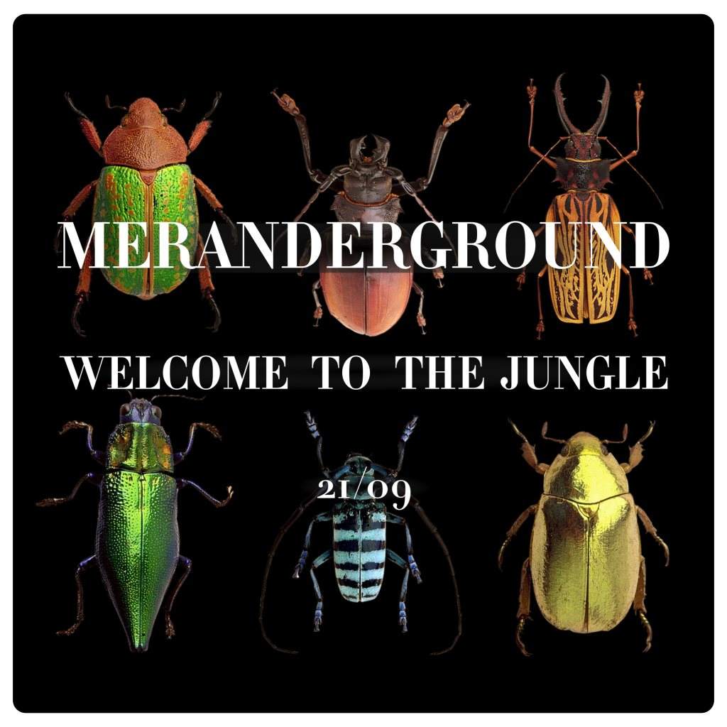Welcome to the Jungle // by Meranderground - フライヤー表
