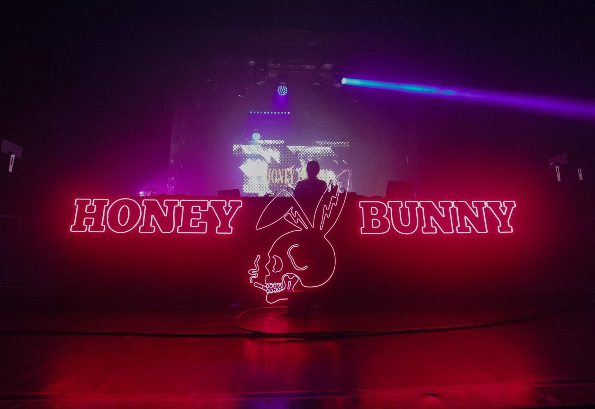 HONEY BUNNY & BASS BUNNY - Página frontal