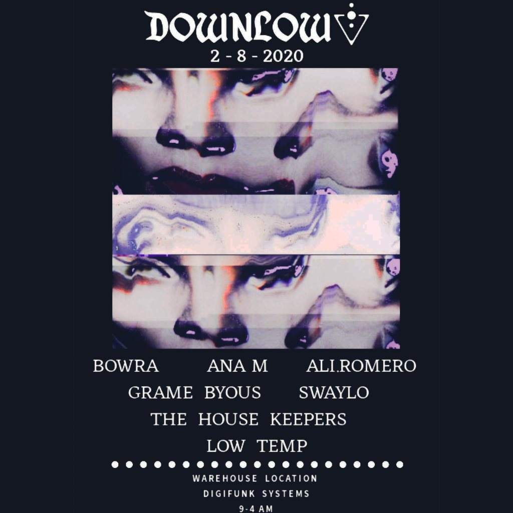 Downlow - Warehouse Function - フライヤー表