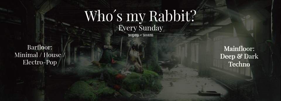 Who´s My Rabbit? - Página frontal