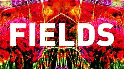 Fields - Danceable Experiments In Band and Dj Electronica - フライヤー表