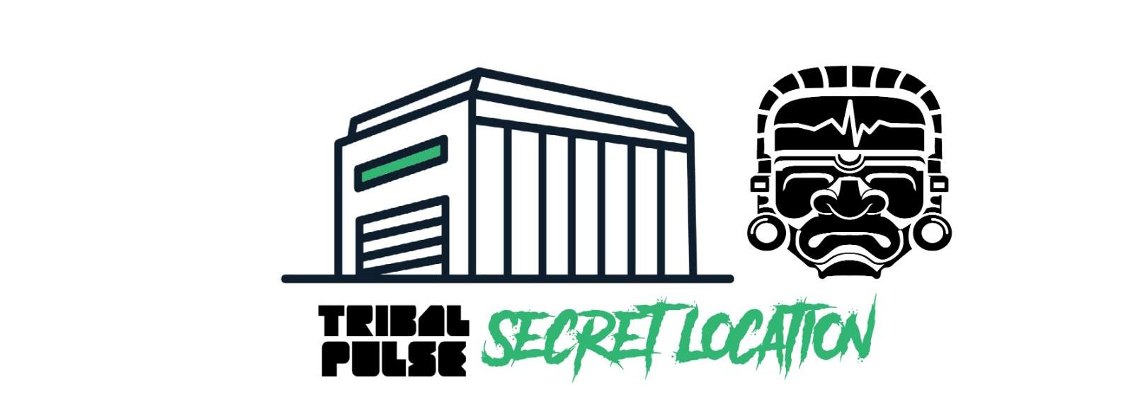 Tribal Pulse: Secret Location - Página frontal