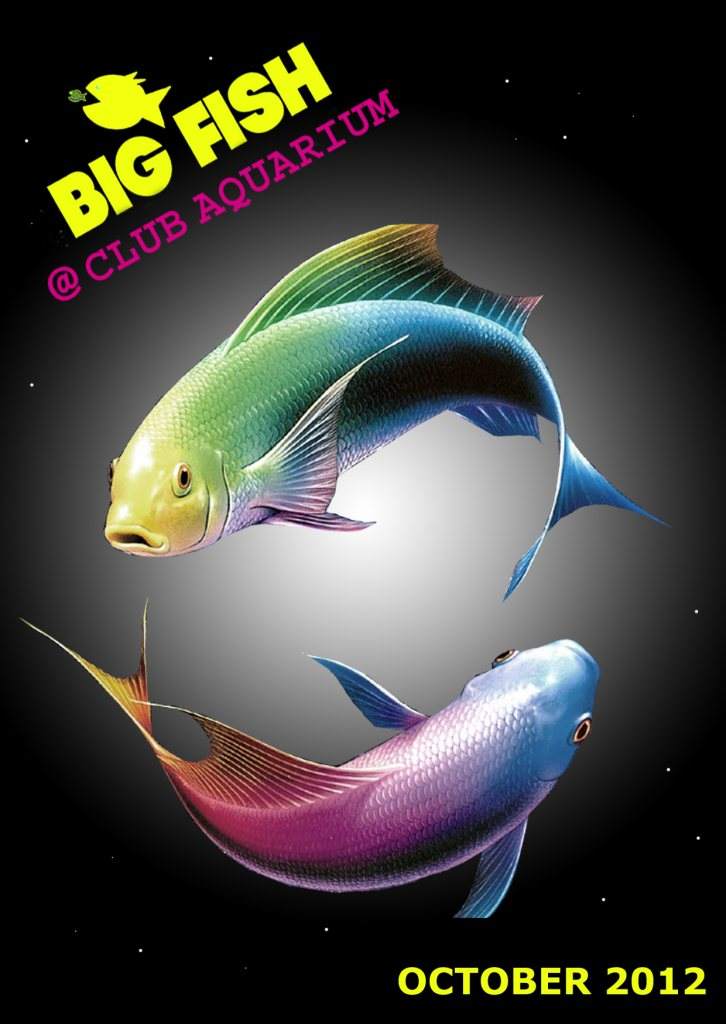 Big Fish Afterhours w: Shane Watcha (Zombie Soundsystem), Fingaprint - フライヤー表