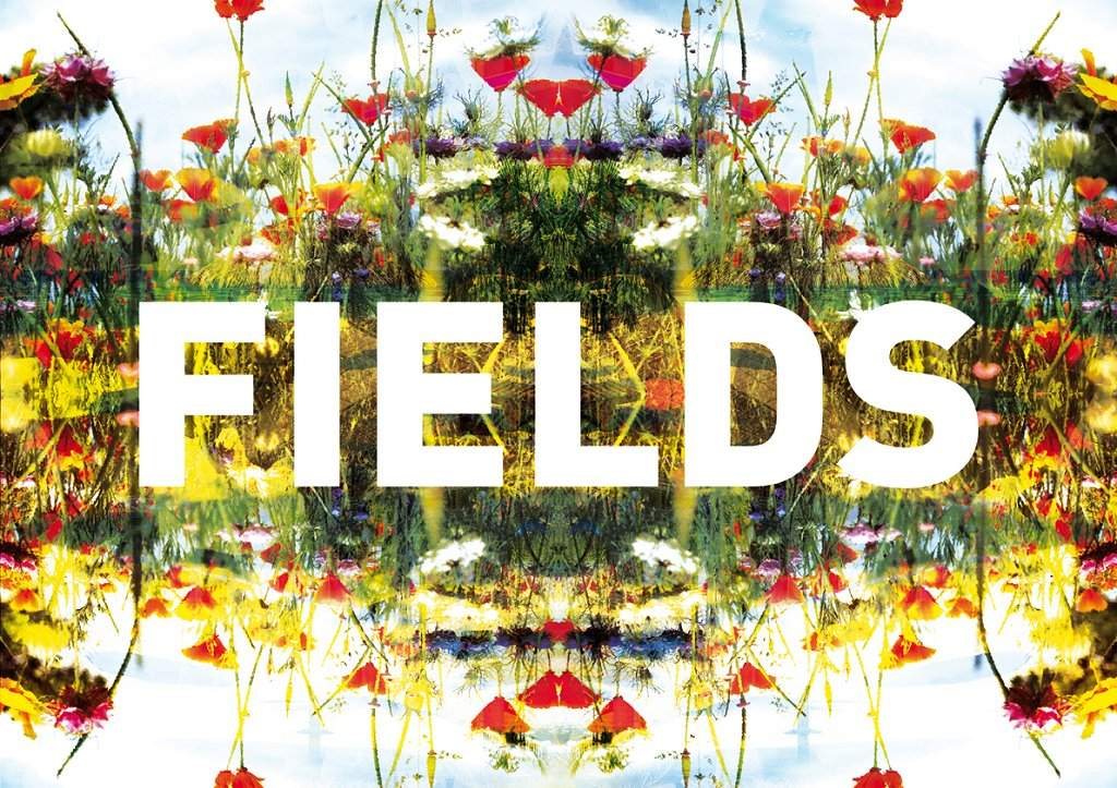 Fields #4 - Danceable Experiments in Live Electronica - Página frontal