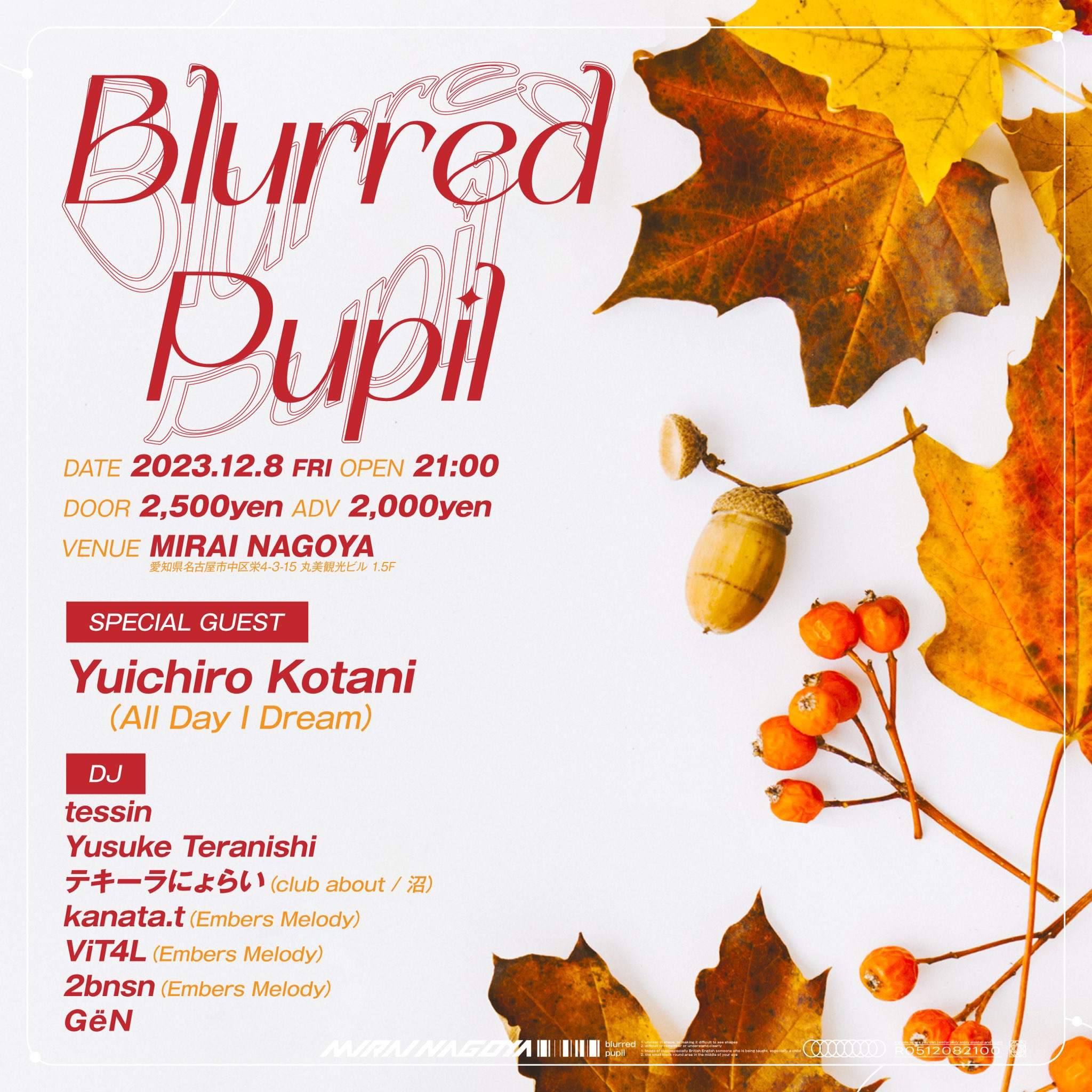 Blurred Pupil pres. Yuichiro Kotani - フライヤー表