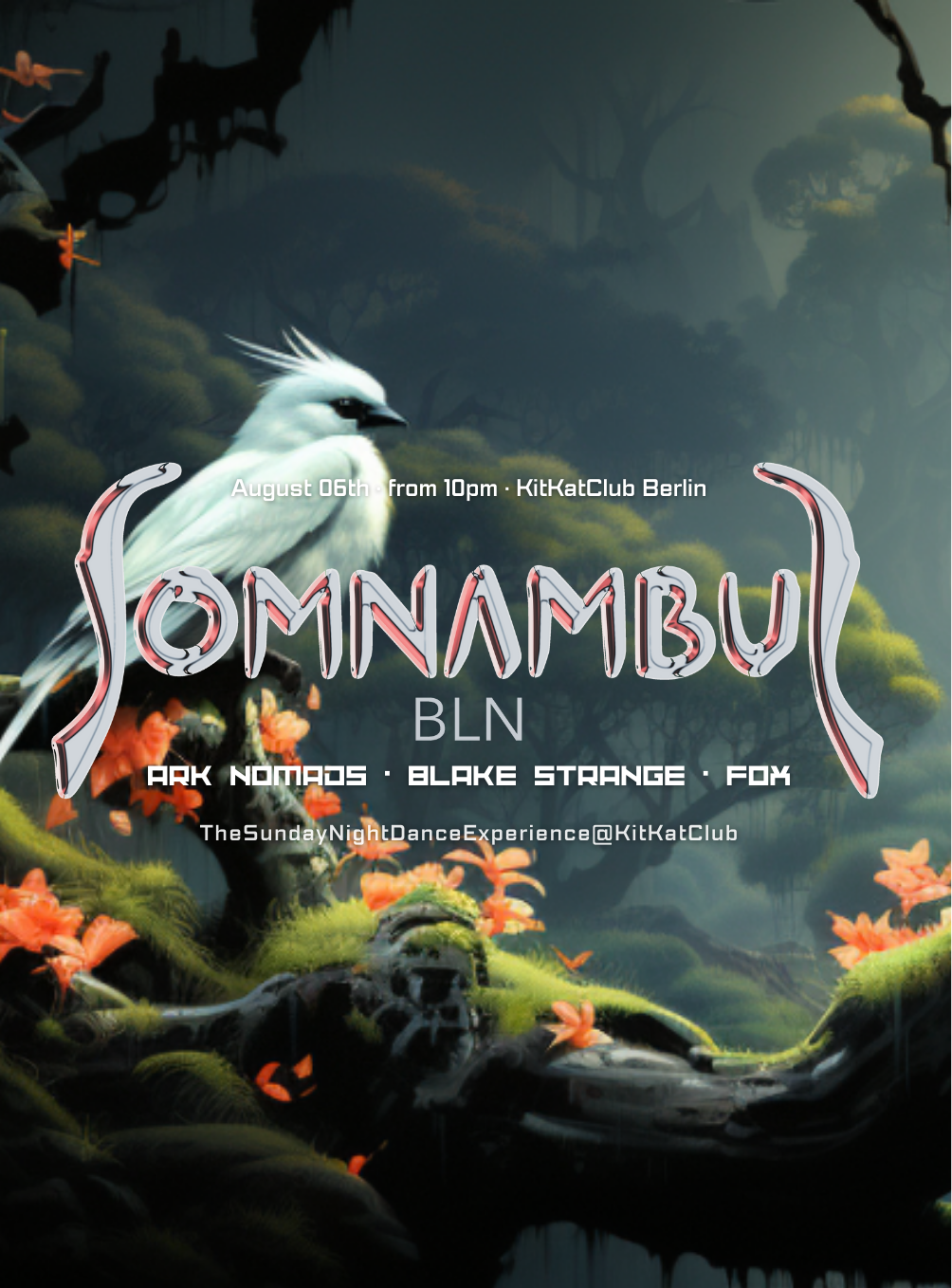 Somnambul BLN - フライヤー表