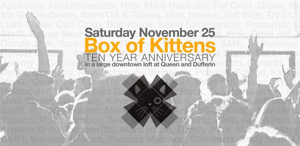 Box of Kittens 10 Year Anniversary - Página frontal