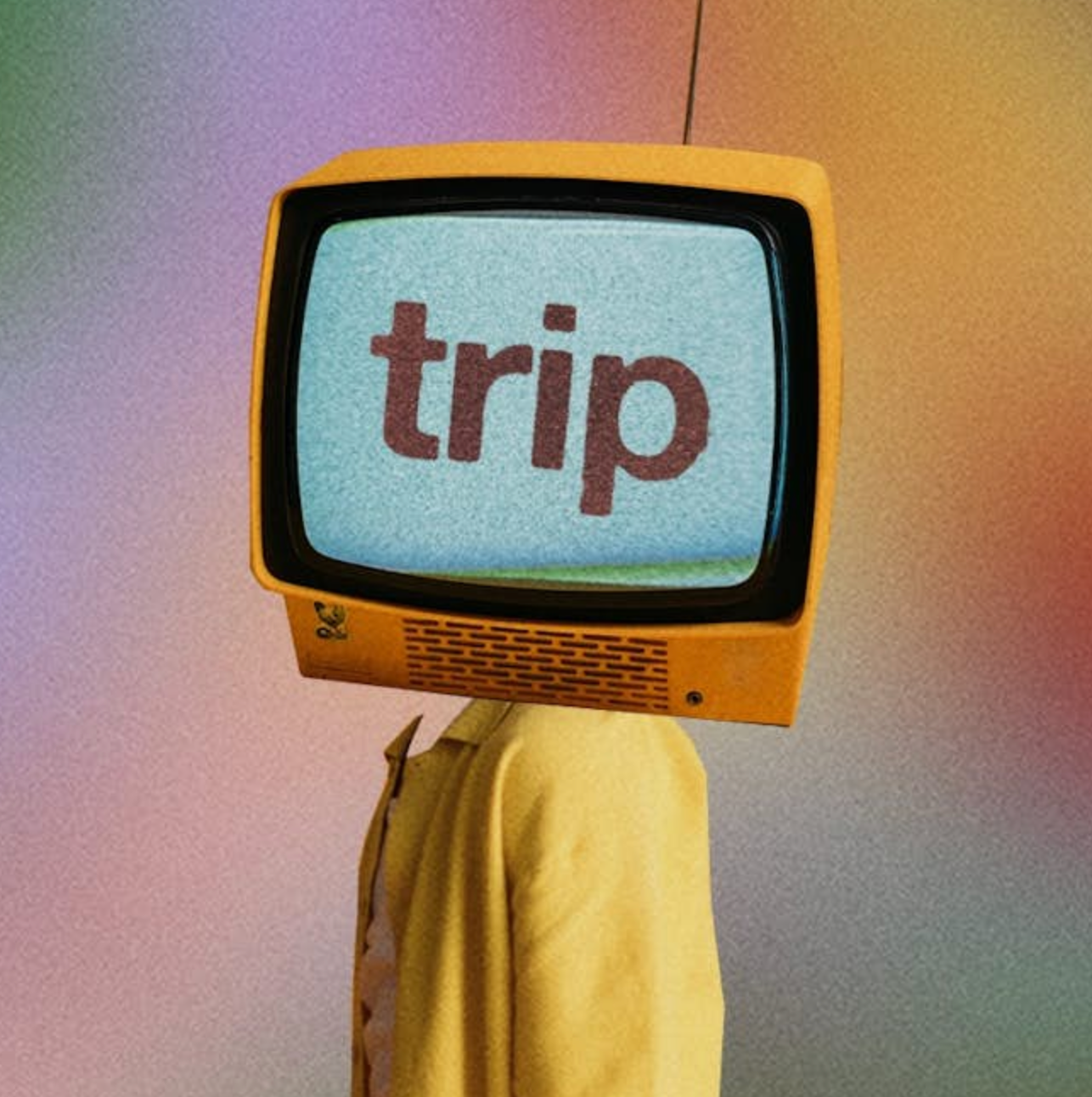 TRIP - フライヤー表