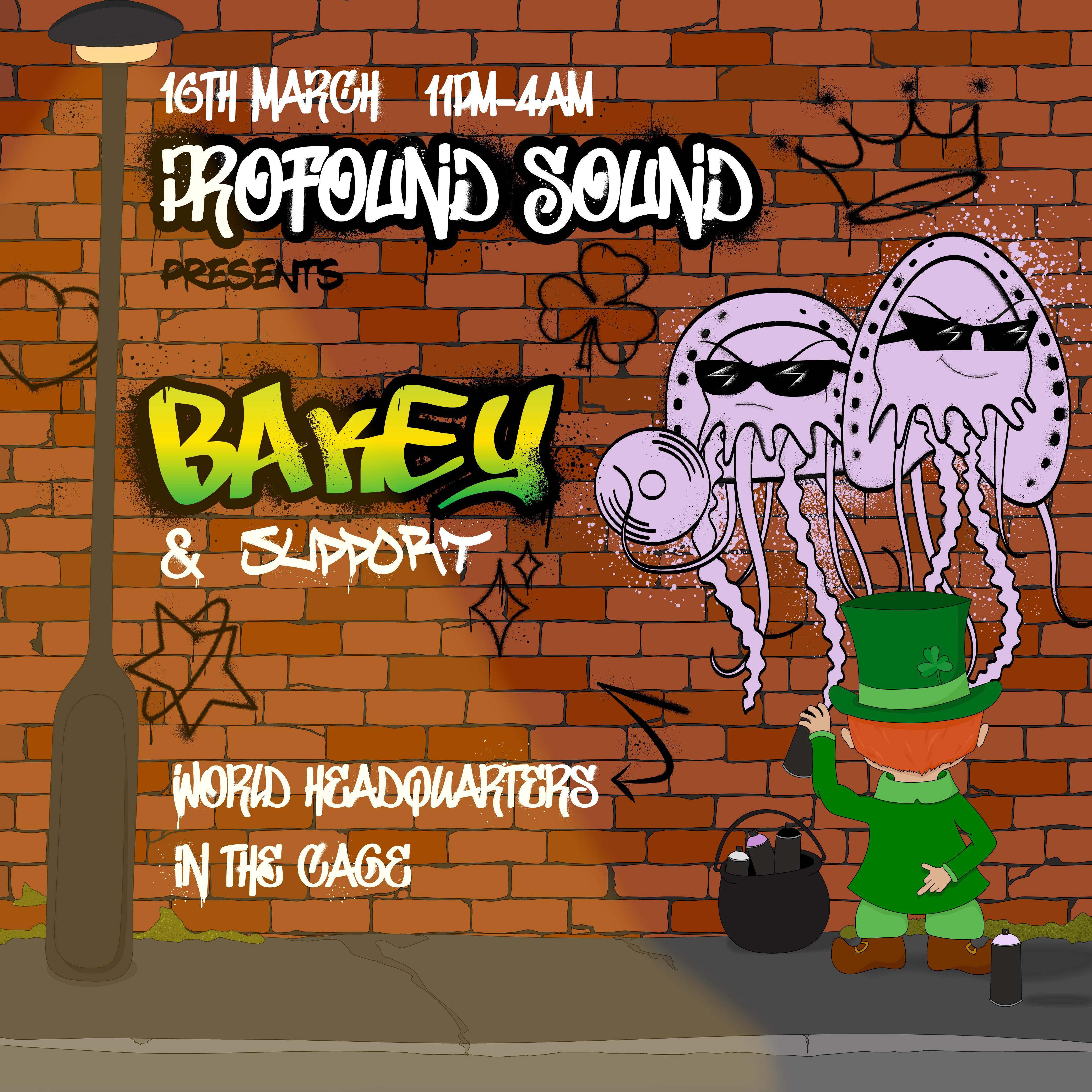 Profound Sound presents: Bakey - St Paddy's Weekend Rave - Página frontal