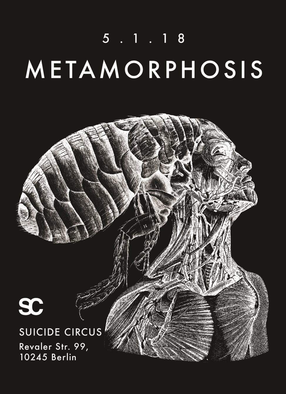 Metamorphosis - Página frontal