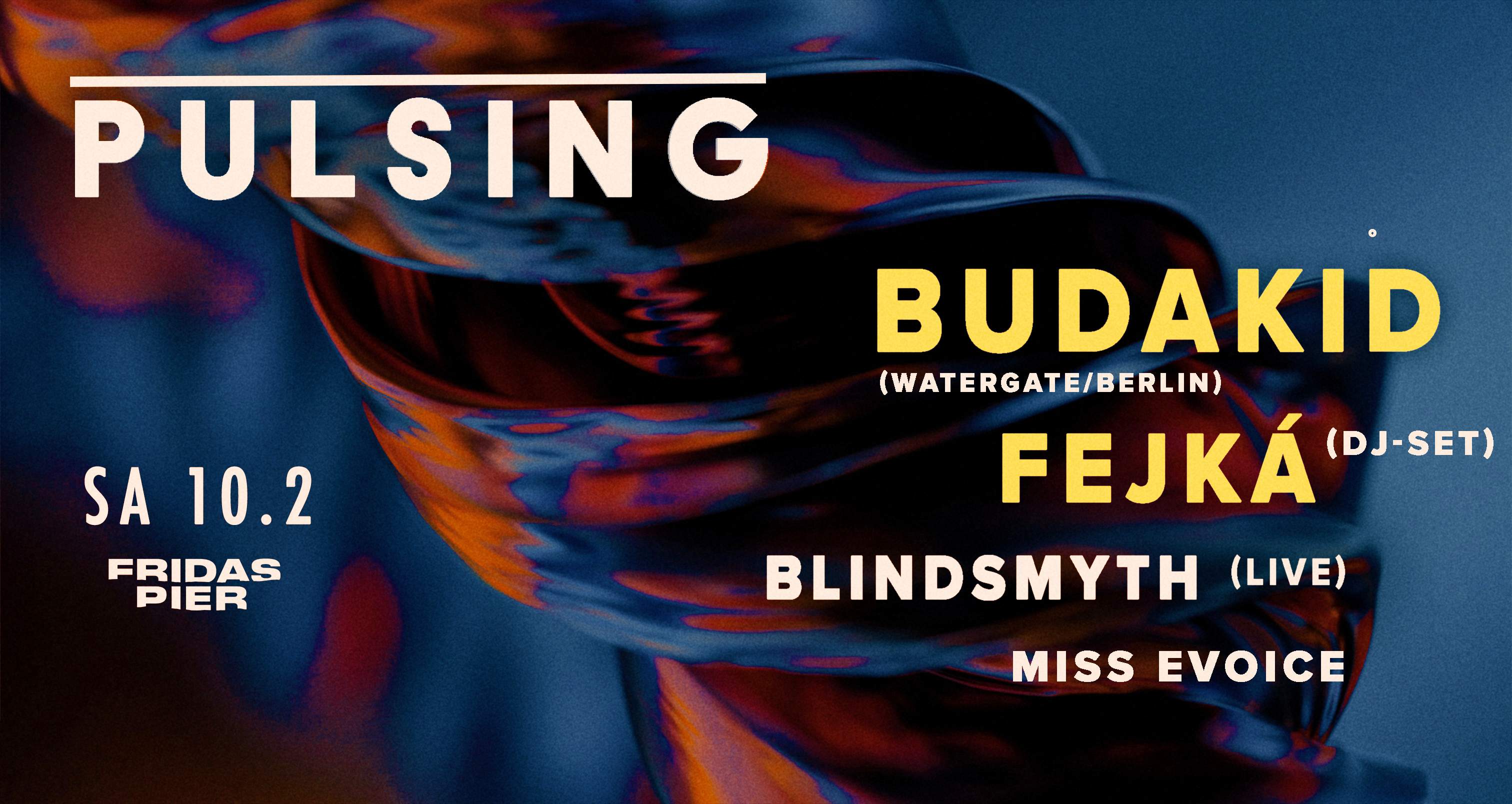 PULSING PRES. Budakid (WATERGATE/BERLIN), Fejká (DJ SET), Blindsmyth (LIVE), Miss Evoice - Página trasera