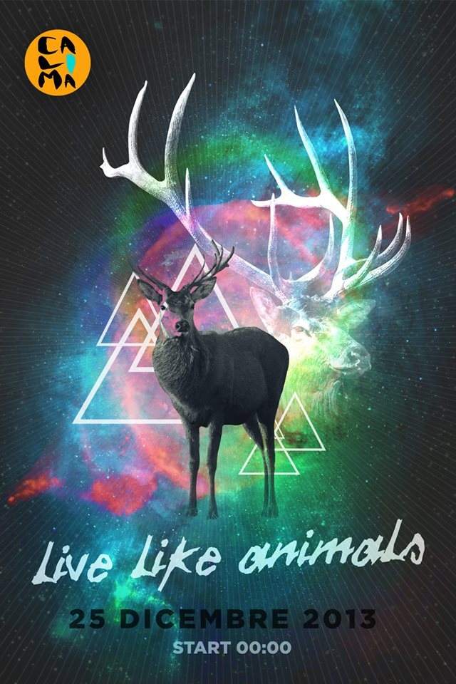 Calima - Live Like Animals - Página frontal