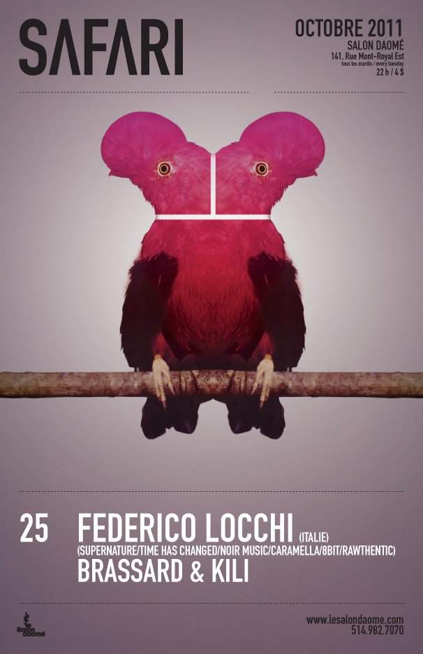 Safari - Federico Locchi Brassard & Kili - Página frontal