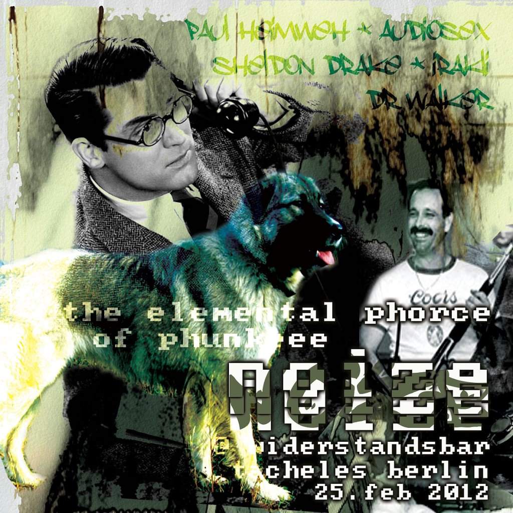 The Elemental Phorce Of Phunkeee Noize feat Paul Heimweh / Irakli / Audiosex / - - Página frontal