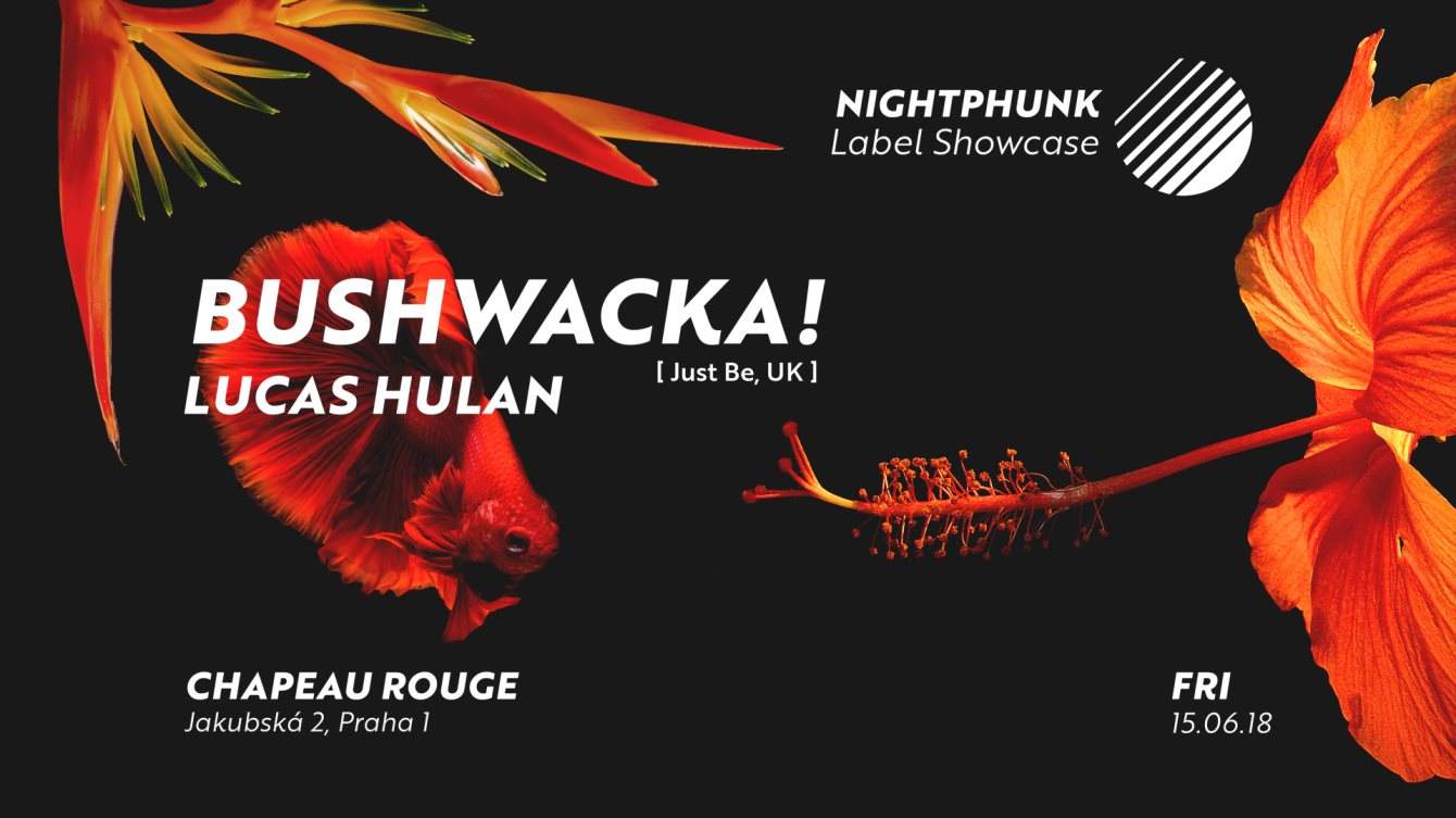 Nightphunk /w. Bushwacka - フライヤー表