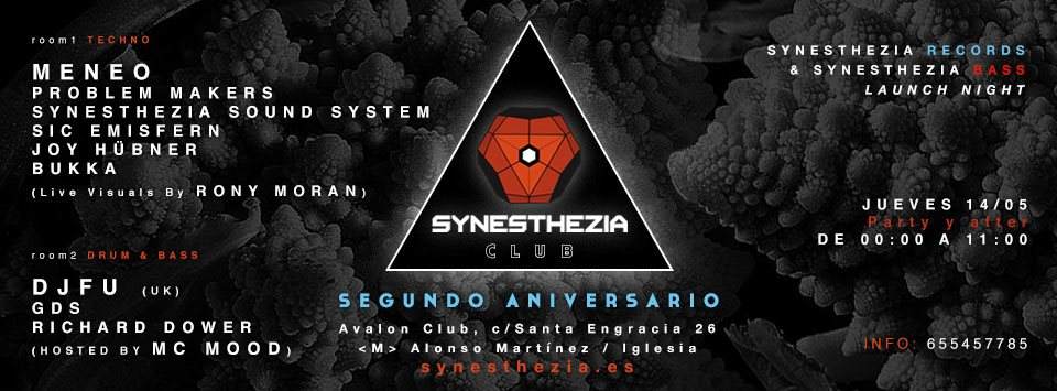 Synesthezia 2nd Anniversary - Synesthezia Records - Bass Fiesta de Inauguración - フライヤー表