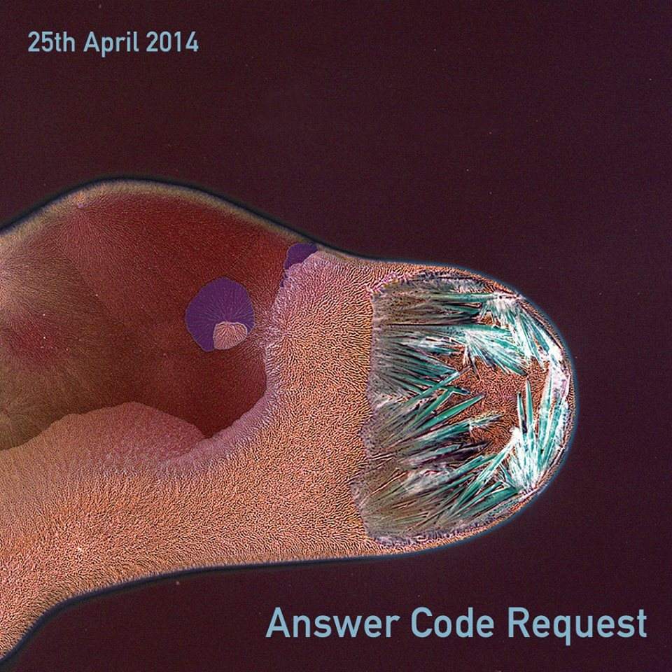 Answer Code Request - Página frontal