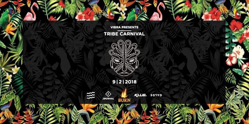 VIBRA Tribe Carnival - フライヤー表