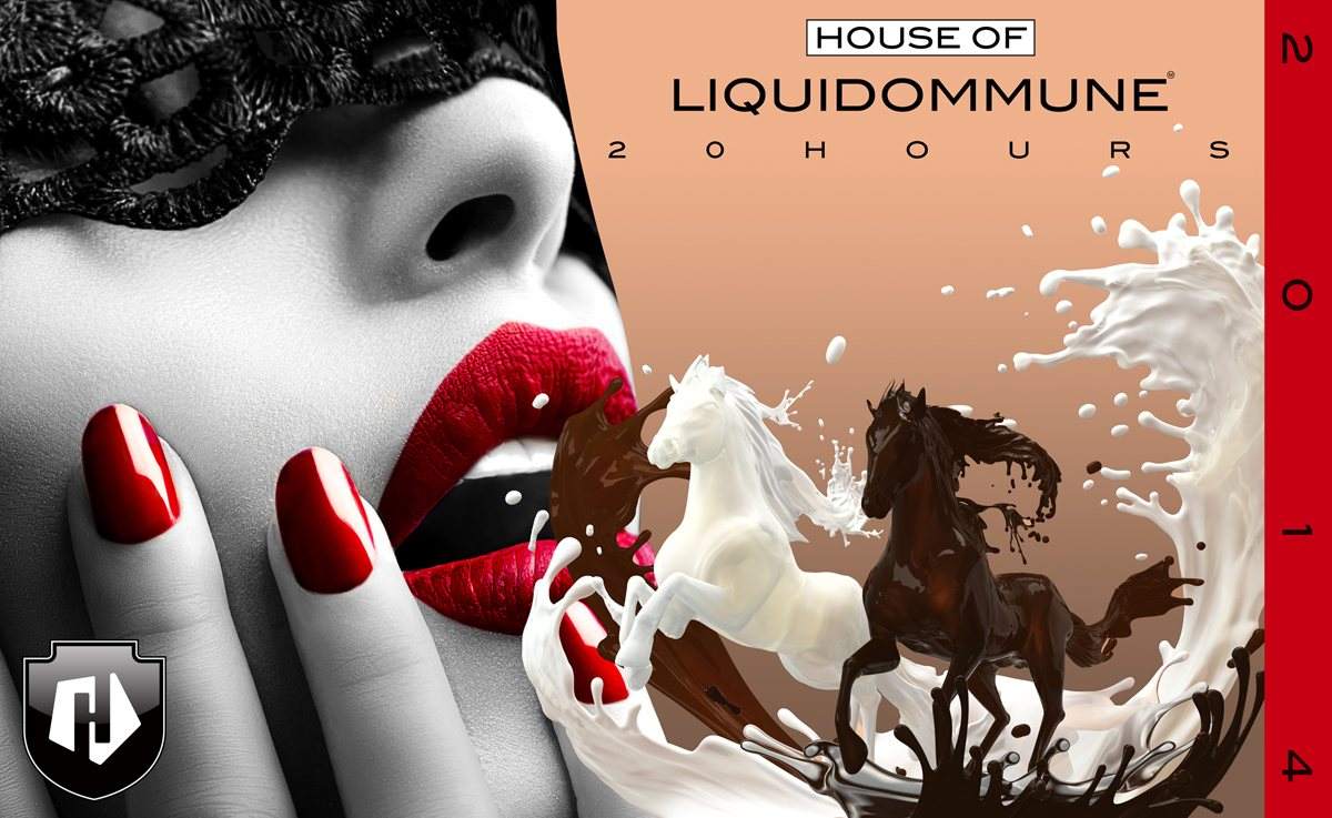 Liquidroom presents 2014liquid - フライヤー裏