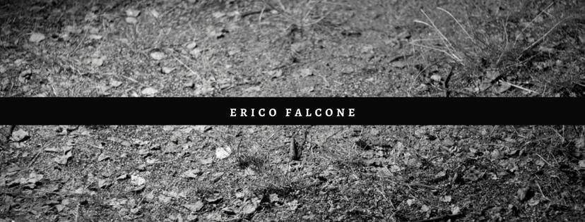 Erico Falcone - Sunproofed Stereogroove - フライヤー表