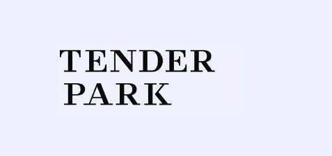 Tenderpark Showcase - フライヤー表