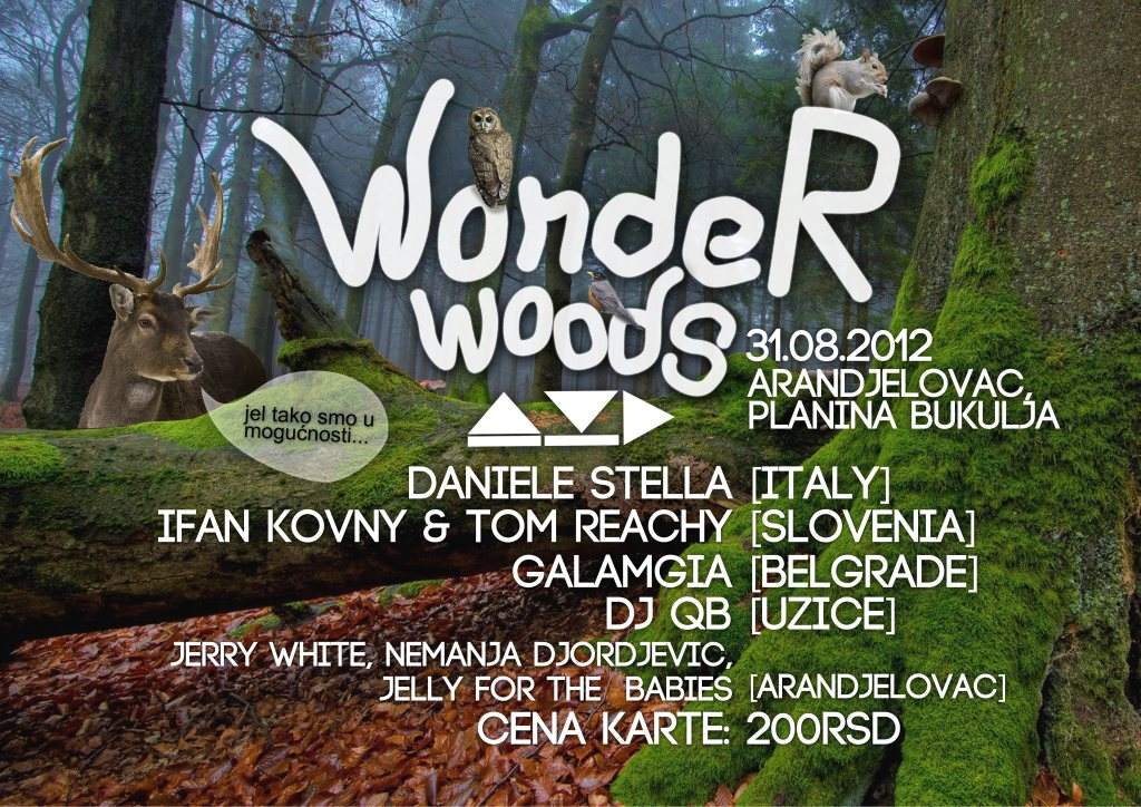 Wonder Woods Festival  - フライヤー表