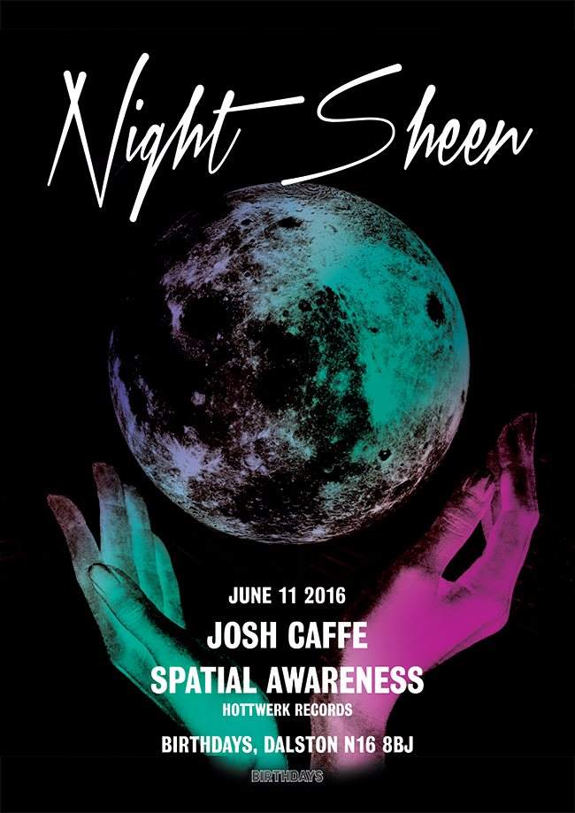 Night Sheen with Spatial Awareness + Josh Caffe - フライヤー裏