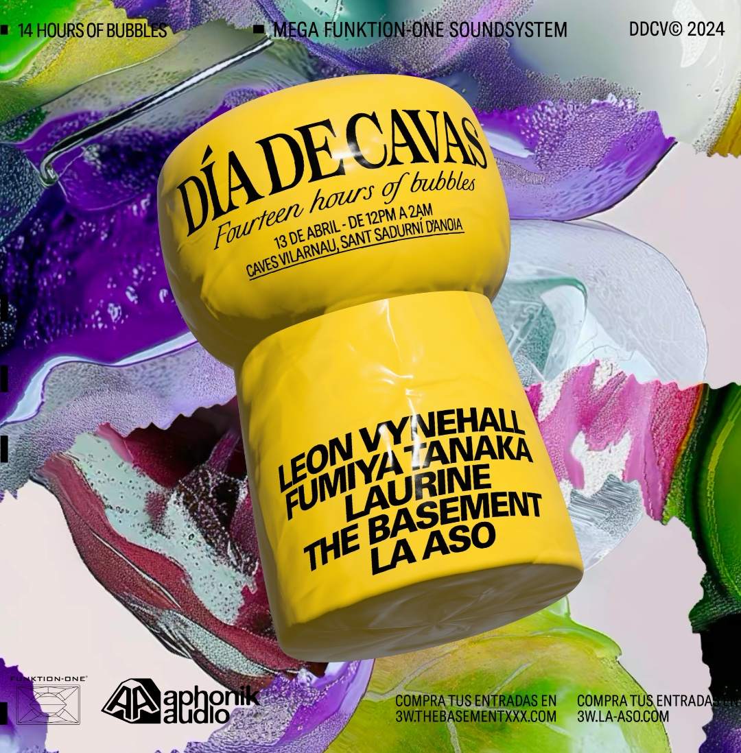 Día de Cavas (Open Air Festival) w/ Leon Vynehall, Fumiya Tanaka, Laurine - Página trasera