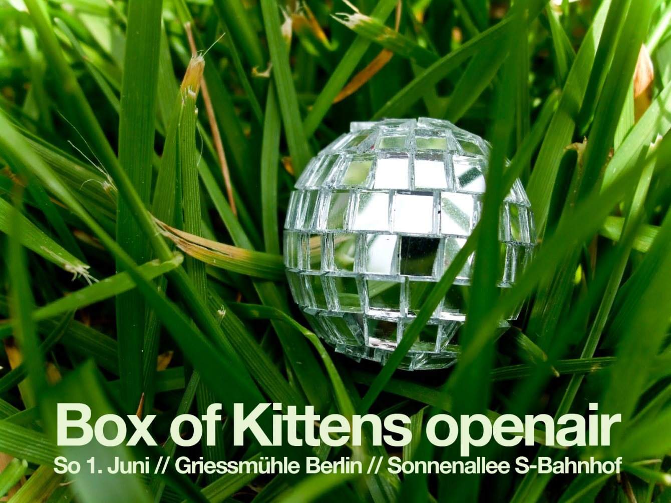 Cancelled: Box of Kittens Openair - Página frontal