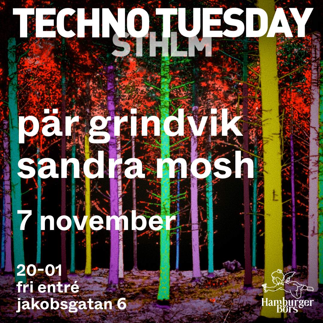 Techno Tuesday Sthlm - Página frontal
