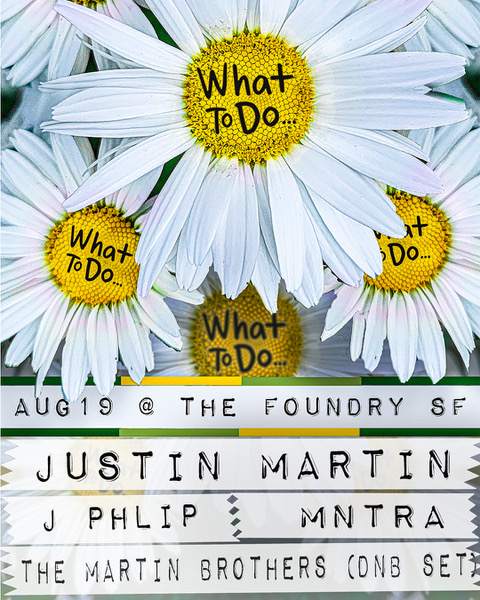 What To Do...Party! with Justin Martin, J Phlip, MNTRA + The Martin Brothers - Página frontal