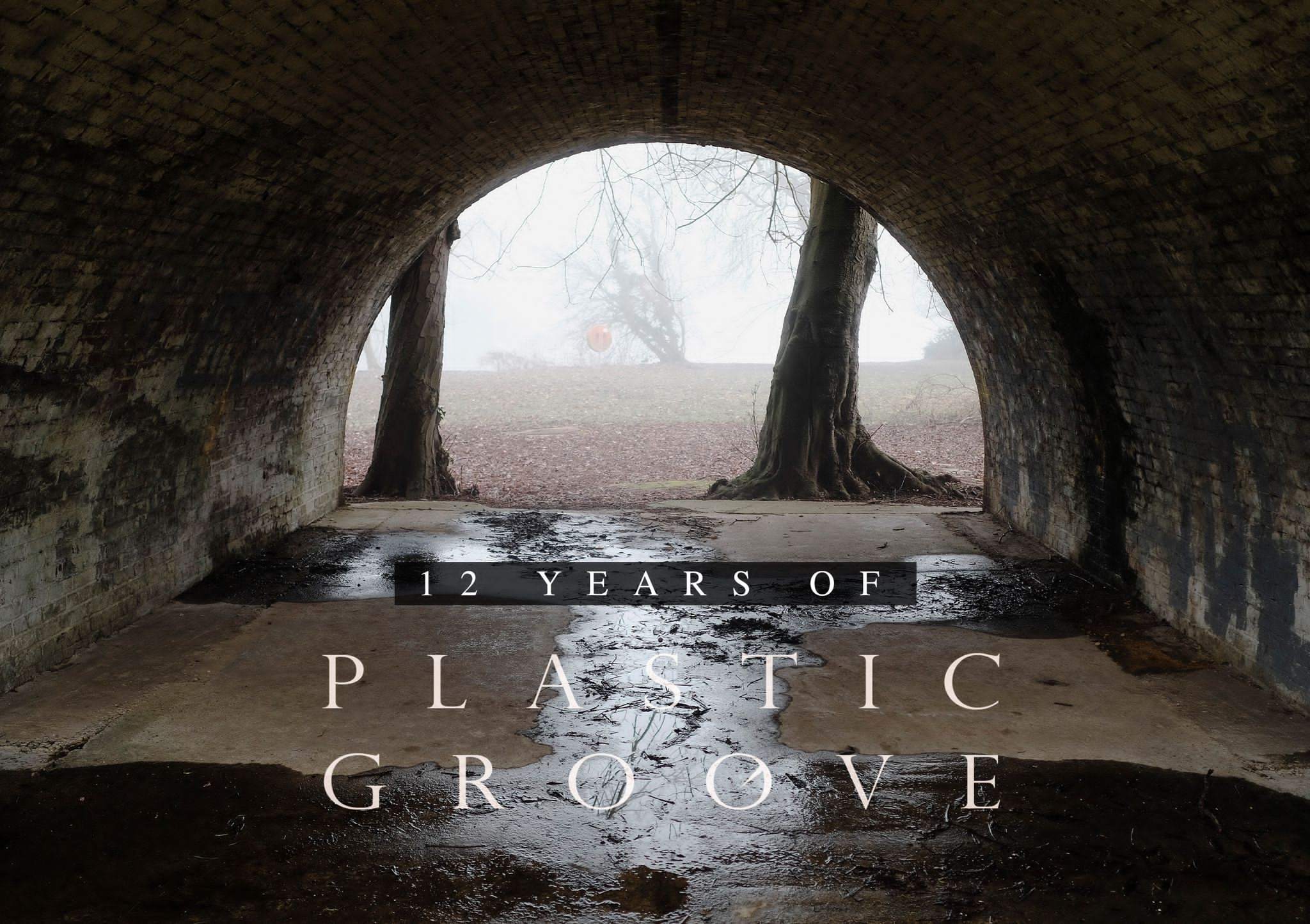 12 years of Plastic Groove - Página frontal