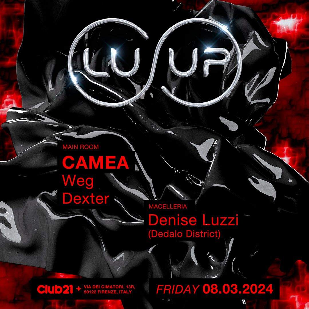 LUUP with Camea - フライヤー表