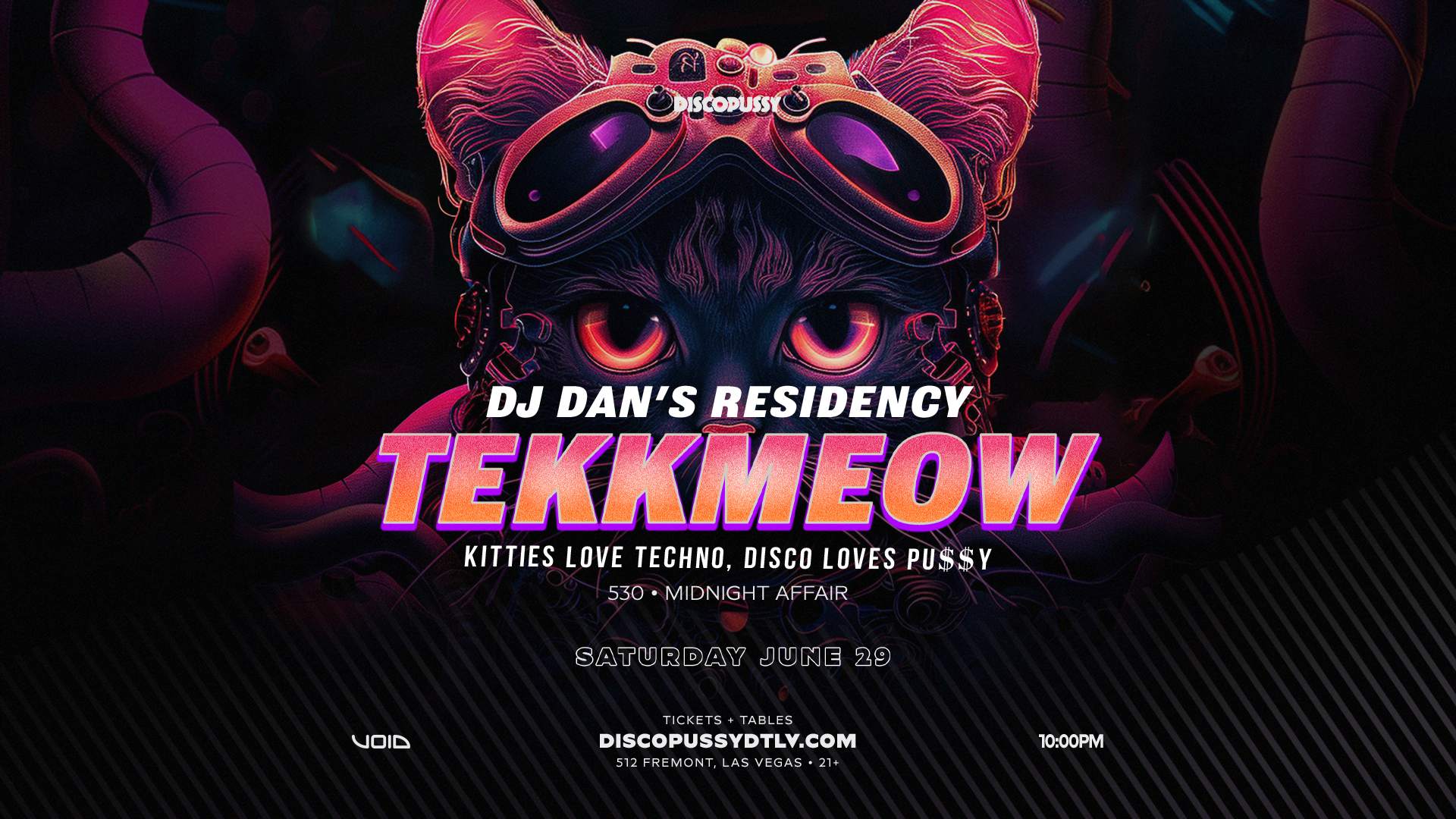 Discopussy presents: TEKKMEOW with DJ Dan - フライヤー表
