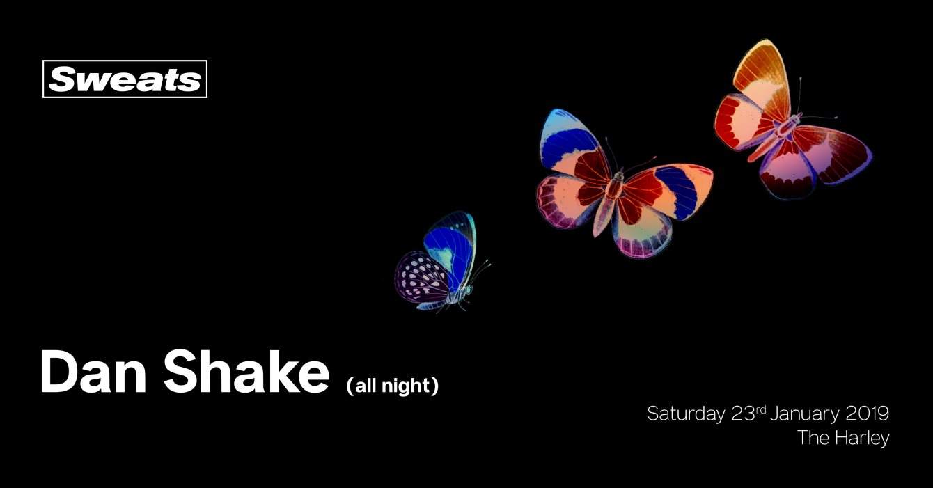Sweats: Dan Shake (All Night) - Página frontal