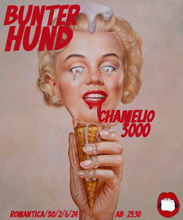 BUNTER HUND meets Chamelio 3000 - Página frontal