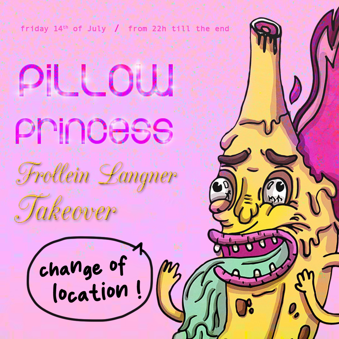 Pillow Princess Takeover @Frollein Langner - Cat & Broccoli, B-Silber ...