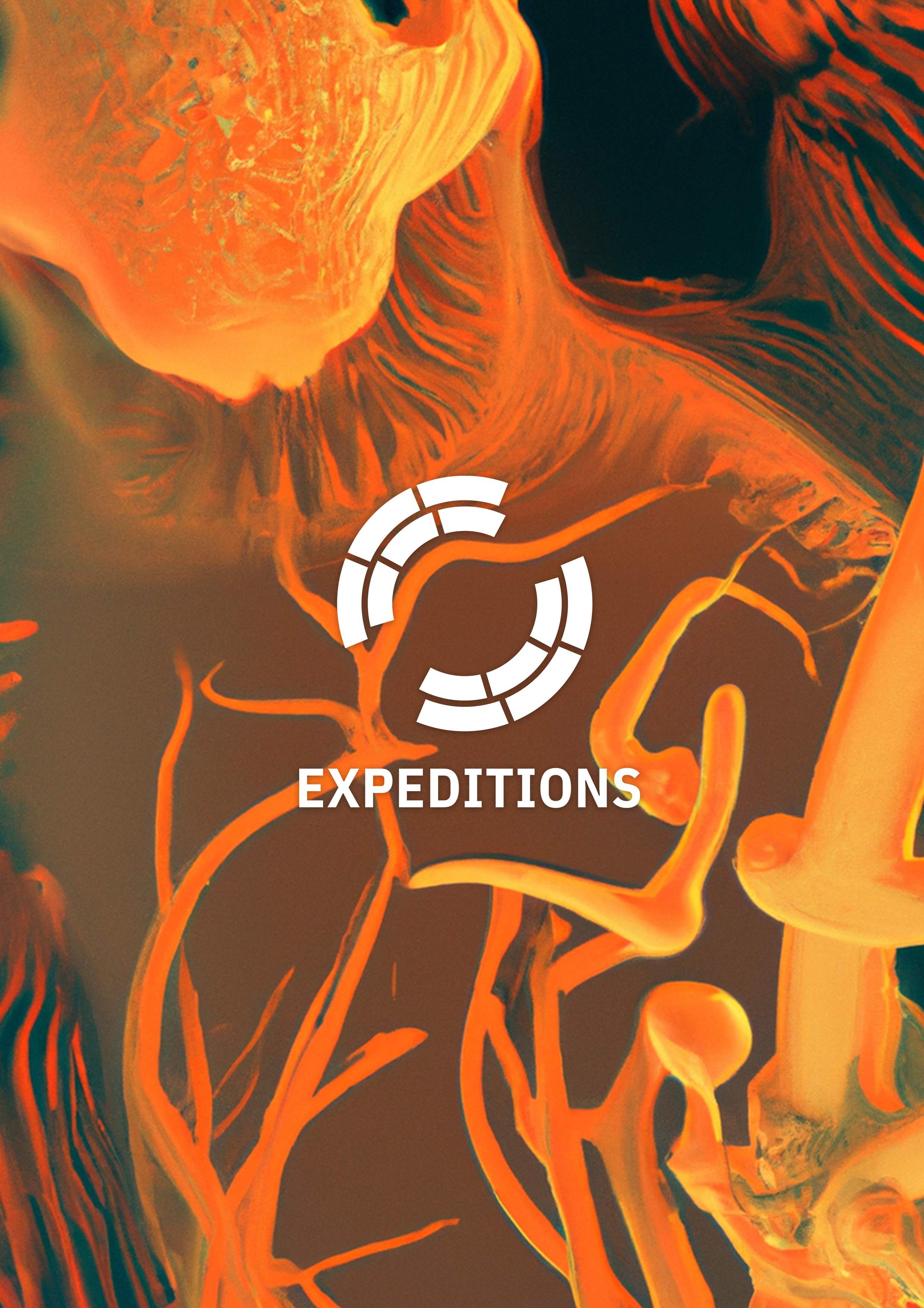 Expeditions - フライヤー表