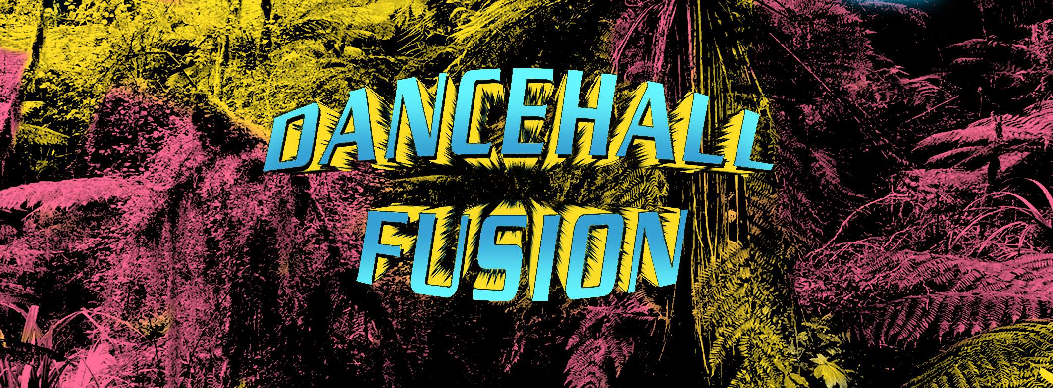 Dancehall Fusion - フライヤー表
