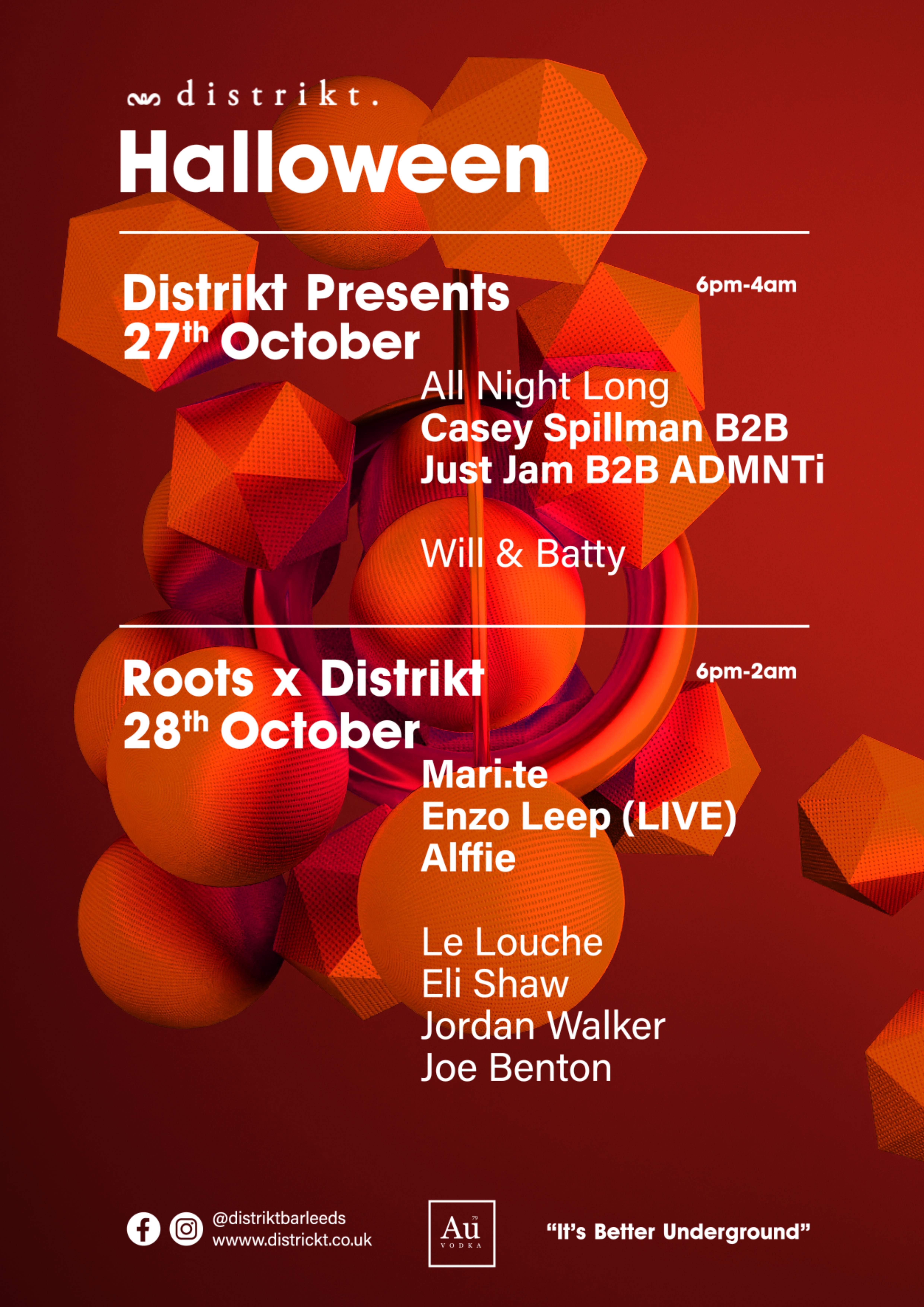 Distrikt presents x Roots Halloween Part2 Mari.te, Enzo Leep (LIVE), Alffie - フライヤー裏