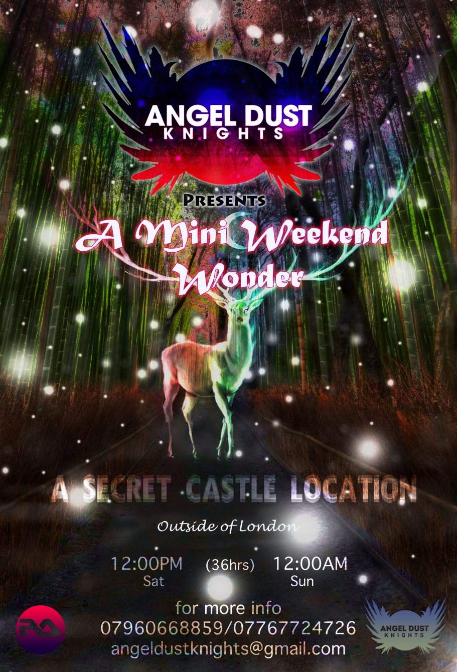 Angel Dust presents The Mansion Series - フライヤー裏
