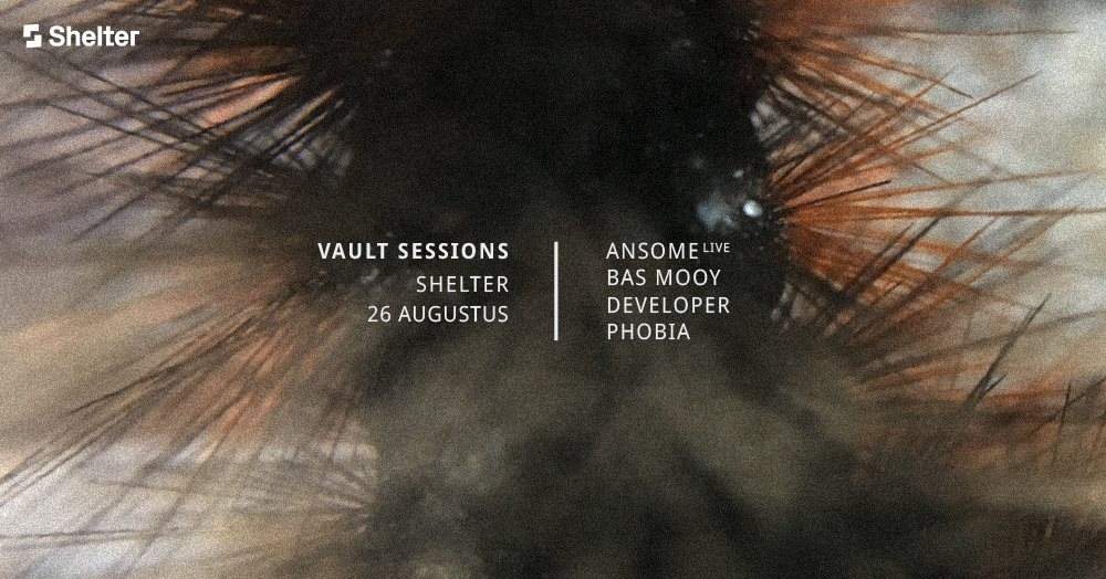 Vault Sessions w. Ansome Live, Bas Mooy, Developer & Phobia - Página frontal
