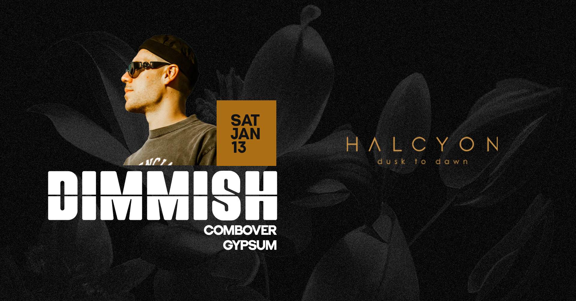 Dimmish at Halcyon, San Francisco/Oakland