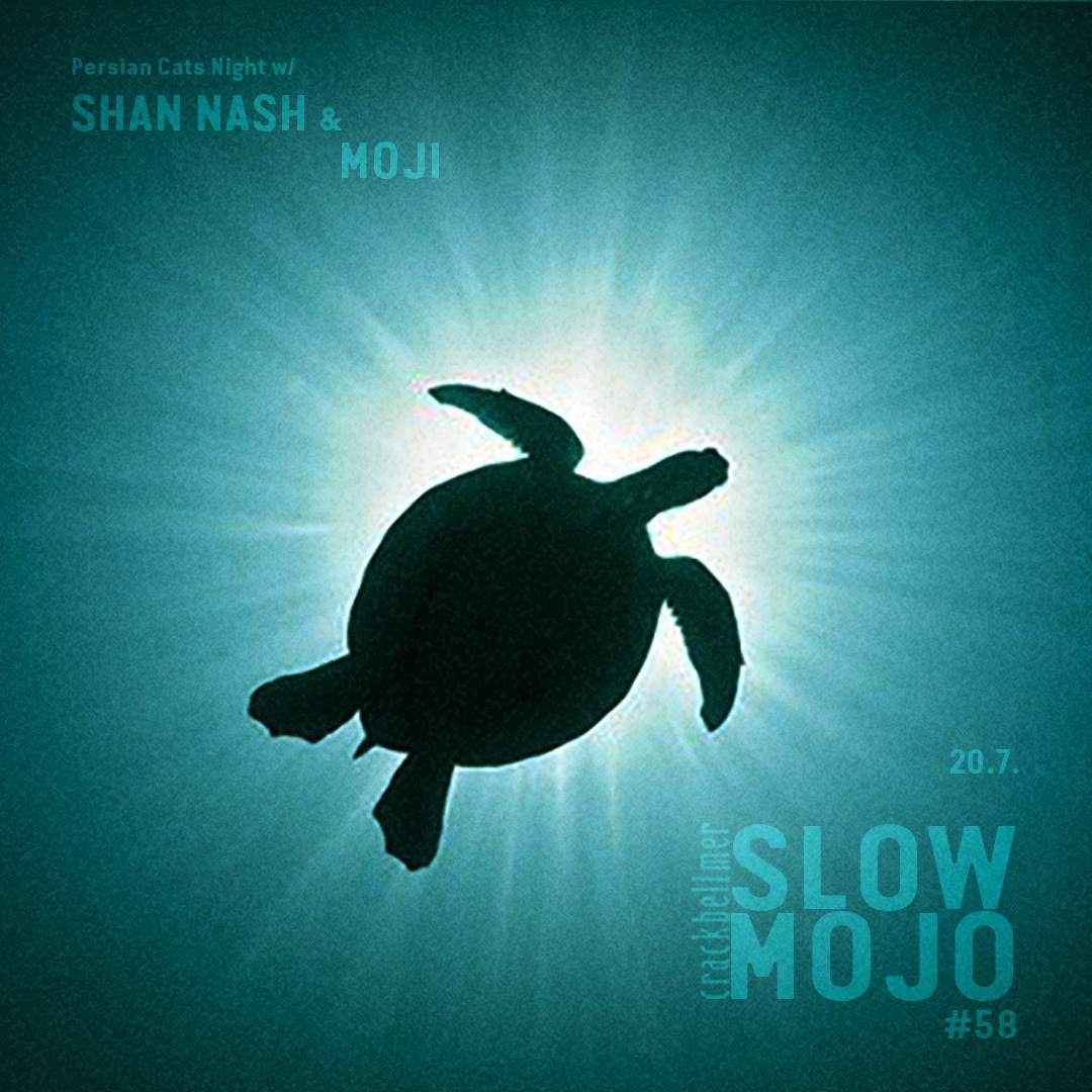 ✾ SlowMojo #58 Persian Cats Night w Shan Nash & Moji ✾ - フライヤー表