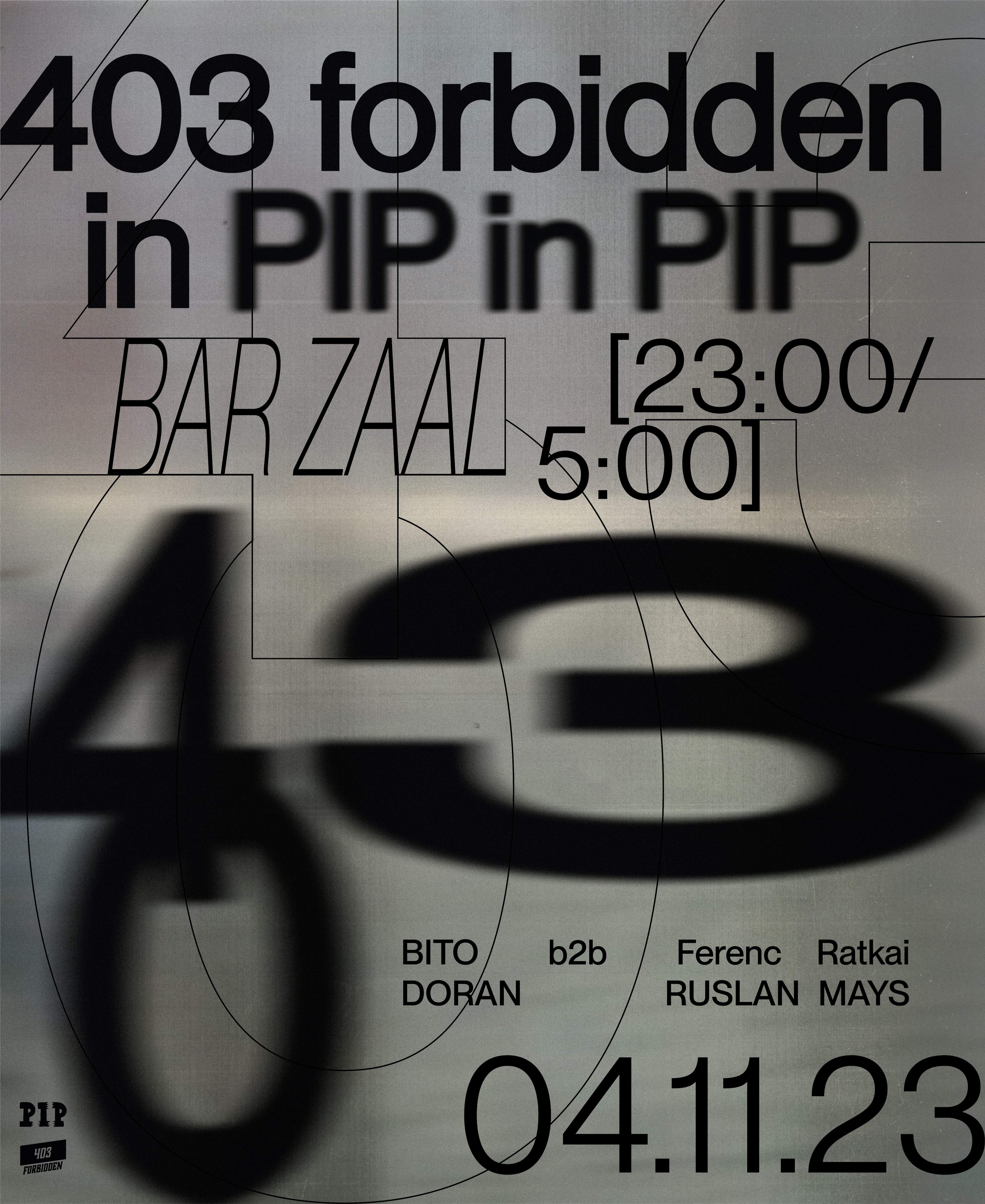 403 Forbidden in PIP in PIP - Página frontal