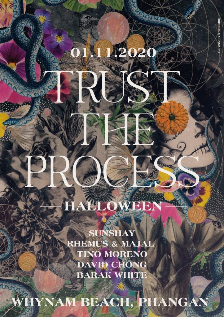 Trust The Process Festival - Página trasera