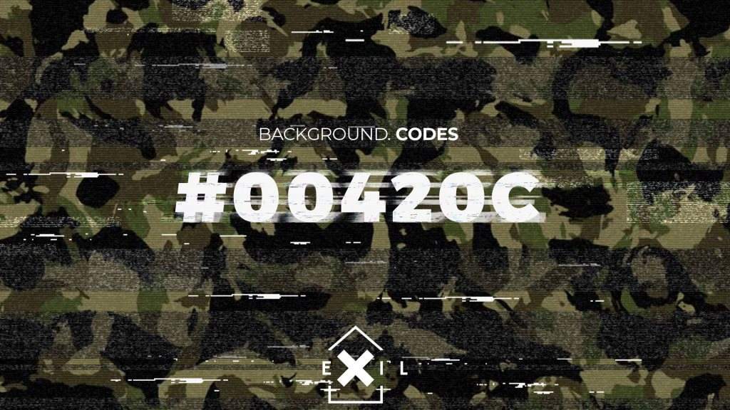 [CANCELLED] Griessmuehle im Exil - Background. Codes #00420c with Ethan Fawkes - フライヤー表