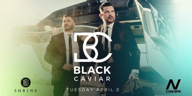 Black Caviar - フライヤー表