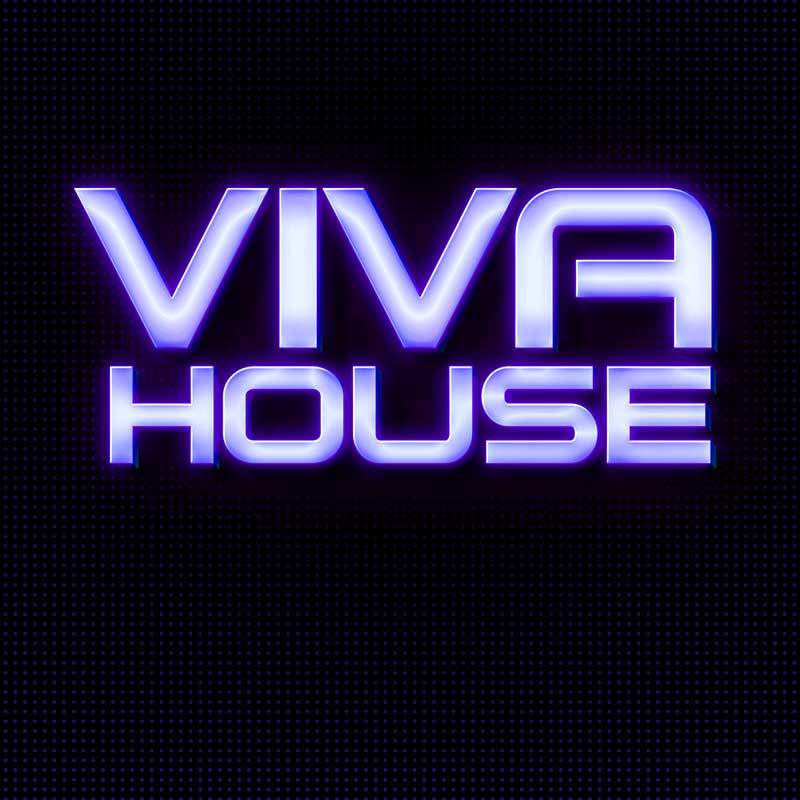 VIVA House - フライヤー表
