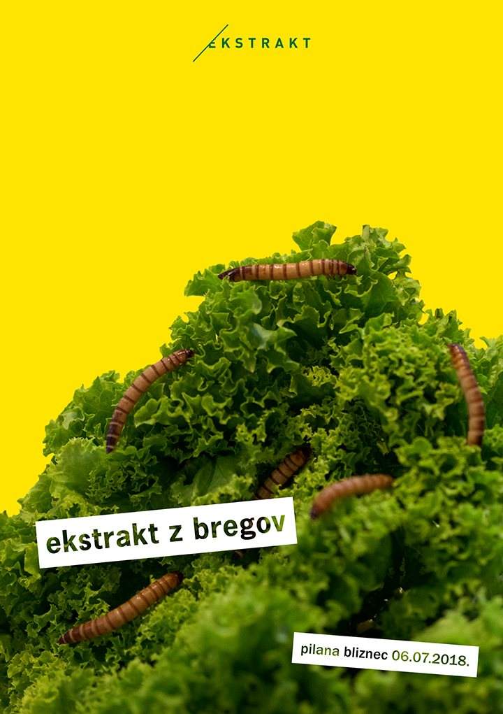 Ekstrakt z Bregov - フライヤー表